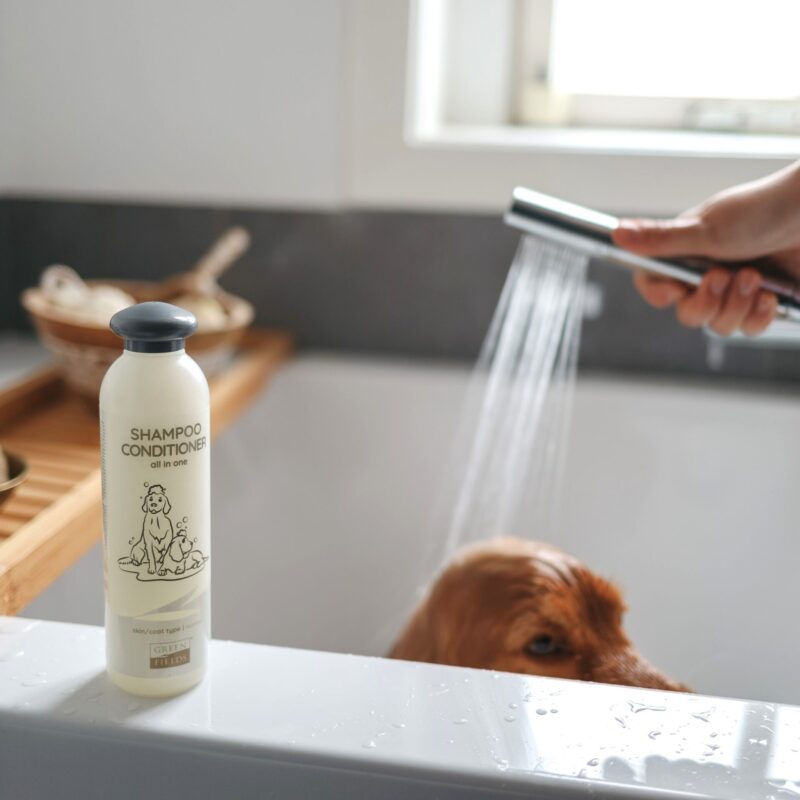 Shampoo-Conditioner-3.jpeg Shampoo & Conditioner (2-in-1)