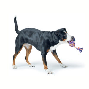 Speelbal-met-touw-2.jpg Speelbal Met Touw