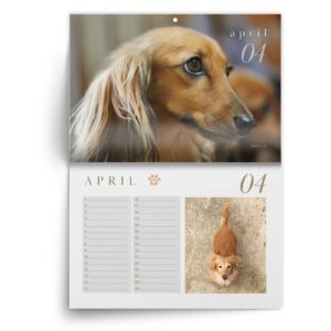 Teckel-april.jpg Verjaardagskalender Teckel