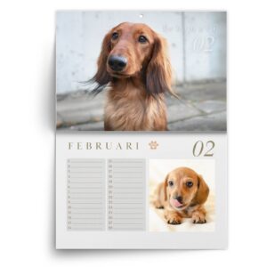 Teckel-feb.jpg Verjaardagskalender Teckel