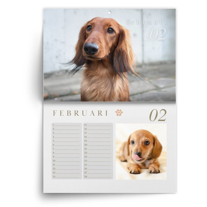 Teckel-feb.jpg Verjaardagskalender Teckel
