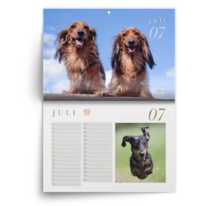 Teckel-juli.jpg Verjaardagskalender Teckel