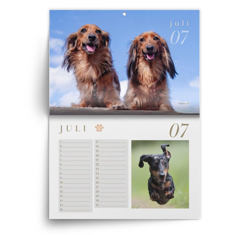 Teckel-juli.jpg Verjaardagskalender Teckel