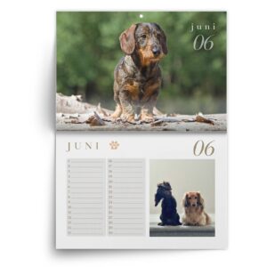 Teckel-juni.jpg Verjaardagskalender Teckel