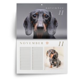 Teckel-nov.jpg Verjaardagskalender Teckel