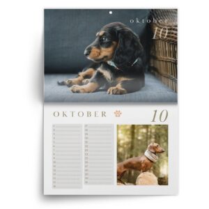 Teckel-okt.jpg Verjaardagskalender Teckel