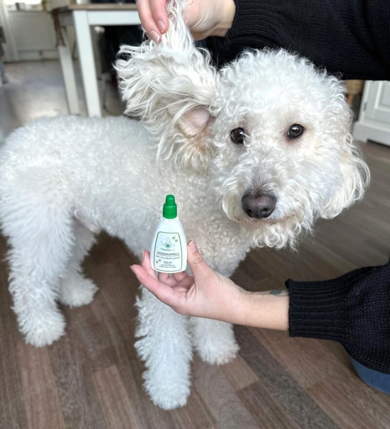 TraumaPet Oordruppels (50 ML)