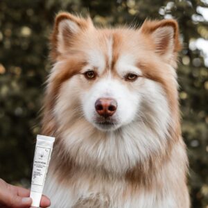 TraumaPet-Review-Huidcreme-met-colloidaal-zilver-pomskycharlie_-kopie.jpg Huidcrème met Colloïdaal Zilver 15ML