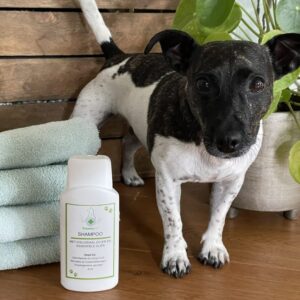 TraumaPet-Review-Shampoo-Eline-Bultsma-Trusted-Shops-kopie-rotated-1.jpeg Hondenshampoo met Colloïdaal Zilver