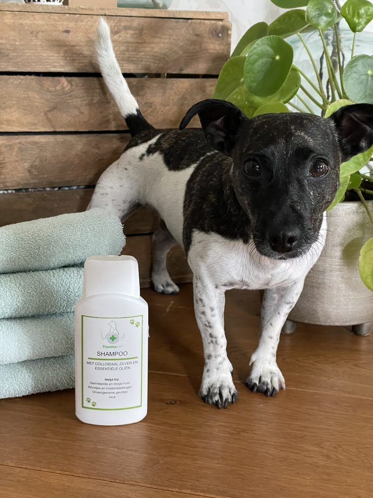 TraumaPet-Review-Shampoo-Eline-Bultsma-Trusted-Shops-kopie-rotated-1.jpeg Hondenshampoo met Colloïdaal Zilver