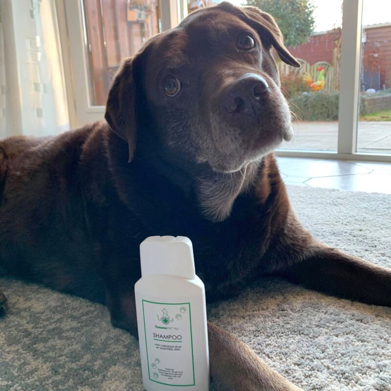 TraumaPet-Review-Shampoo-Nicky-kopie.jpg Hondenshampoo met Colloïdaal Zilver