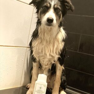 TraumaPet-Review-Shampoo-met-colloidaal-zilver-3-kopie.jpeg Hondenshampoo met Colloïdaal Zilver