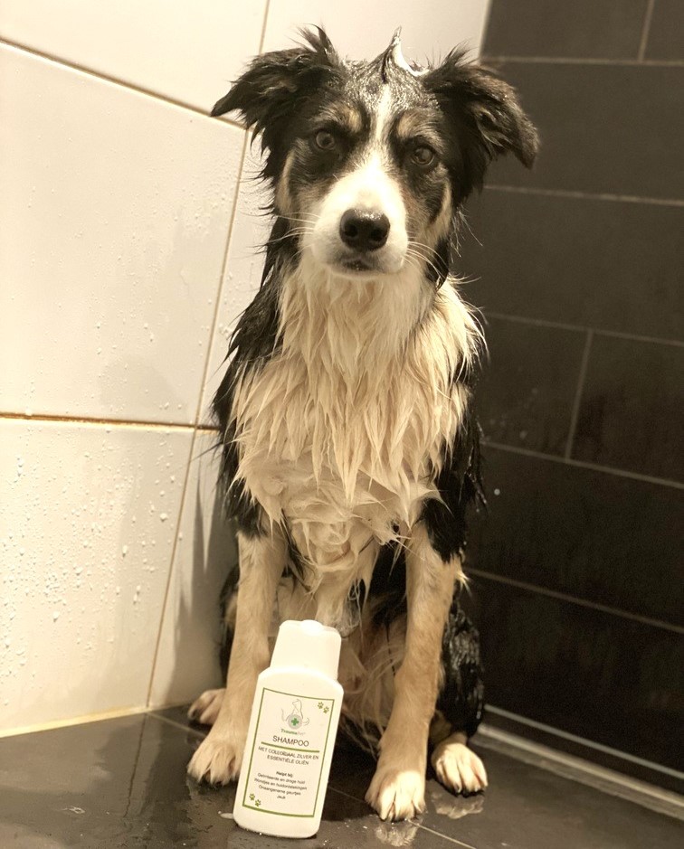 TraumaPet-Review-Shampoo-met-colloidaal-zilver-3-kopie.jpeg Hondenshampoo met Colloïdaal Zilver