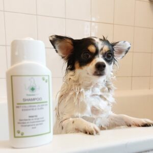 TraumaPet-Review-Shampoo-met-colloidaal-zilver-kopie.jpg Hondenshampoo met Colloïdaal Zilver