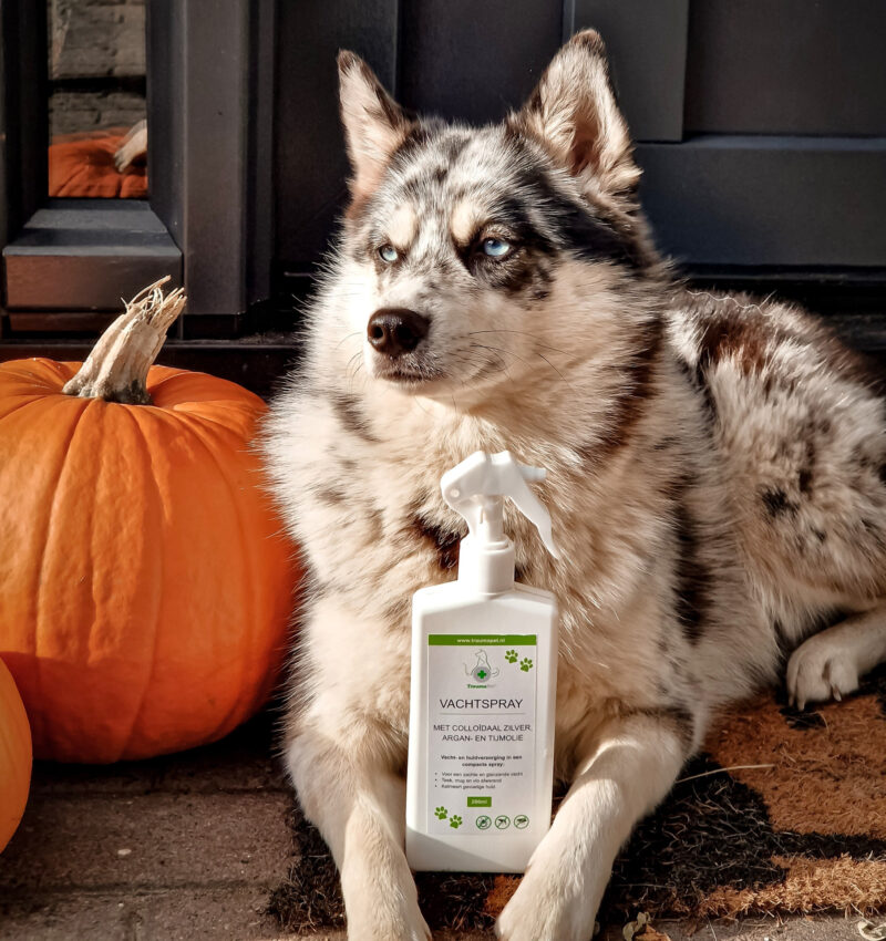 Anti-Vlooien & Teken Vachtspray