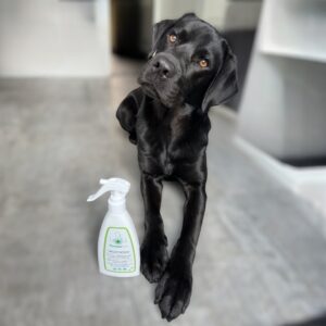 Anti-Vlooien & Teken Vachtspray