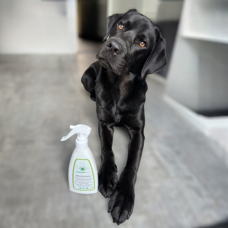 Anti-Vlooien & Teken Vachtspray