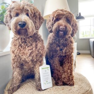 Anti-Vlooien & Teken Vachtspray