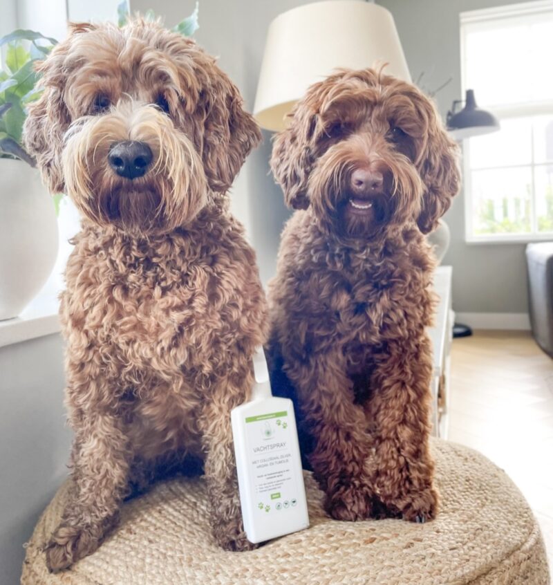 Anti-Vlooien & Teken Vachtspray