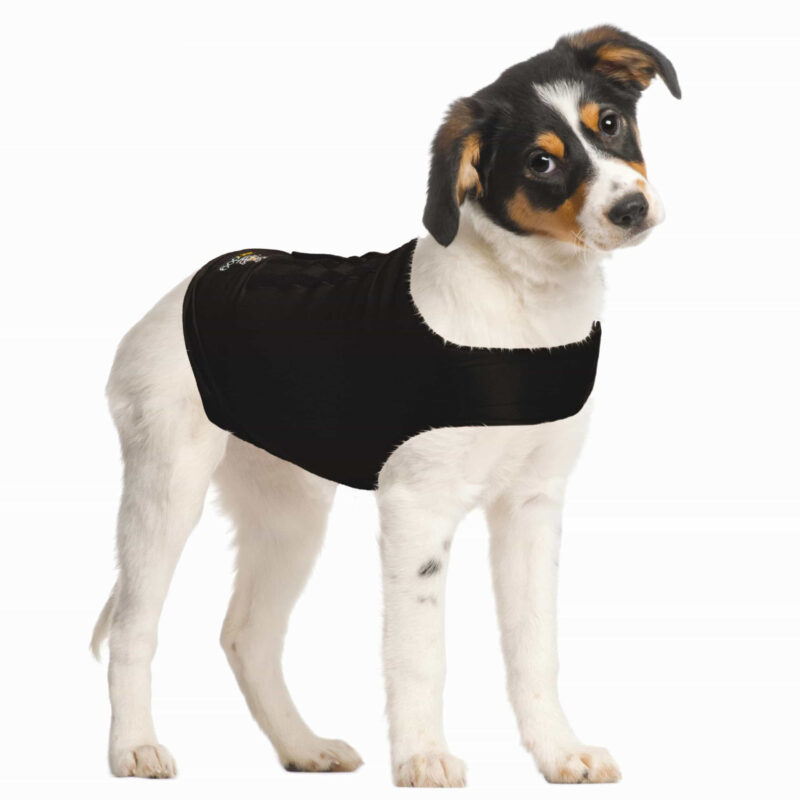 ZENP59282EXTRA-scaled-1.jpg ZenDog Compressie Shirt