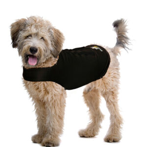 ZENP59284EXTRA-scaled-1.jpg ZenDog Compressie Shirt