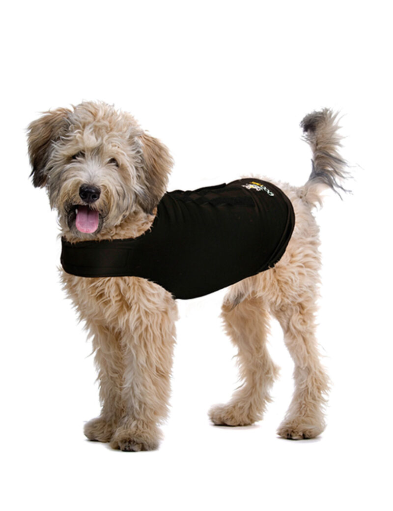 ZENP59284EXTRA-scaled-1.jpg ZenDog Compressie Shirt