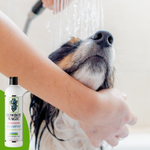 border-collie.png Cowboy Magic Shampoo (473 ML)