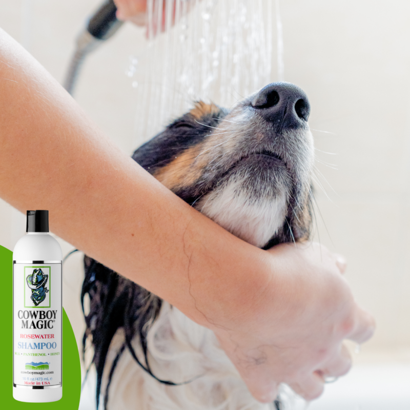 border-collie.png Cowboy Magic Shampoo (473 ML)
