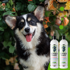 corgi-smell-the-roses.png Cowboy Magic Shampoo (473 ML)