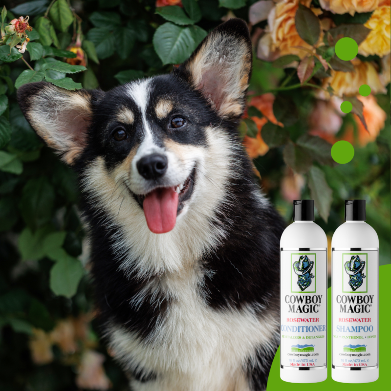 corgi-smell-the-roses.png Cowboy Magic Shampoo (473 ML)