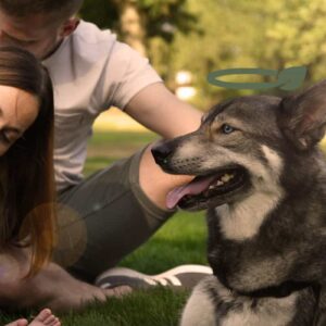 e78306cadf7481413e0cca2cc4f762de.jpg Poepzakjeshouder PoopyGo