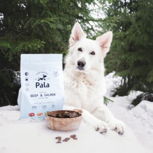 Pala - Gedroogd Vlees - Rund & Zalm