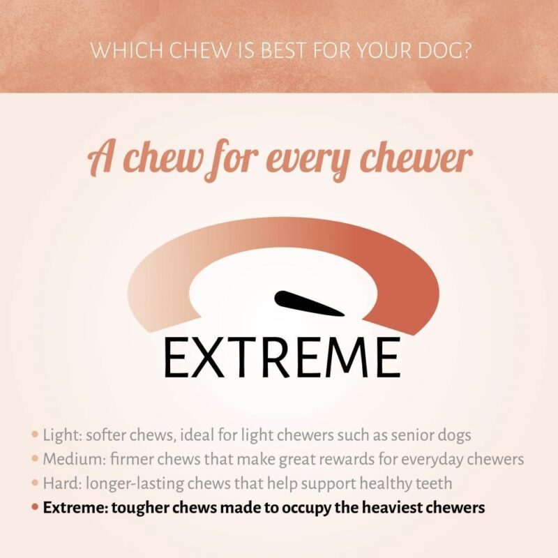 geperste-staaf-10-30-mm-4-1679983331.jpg Geperste Kauwstaaf XXL