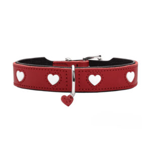 halsband-liefde.jpg Leren Hondentuigje Liefde
