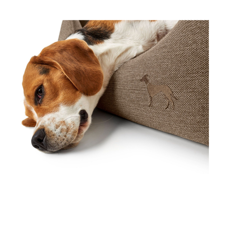 hondenmand-Livingston-bruin2.png Hondenmand Livingston Bruin