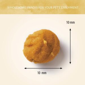 insecta-nibbles-meelworm-en-pompoen-100-gr-3-1679983765.jpg Hondensnoepjes Insecta - Meelworm & Pompoen