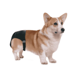 loopsheidsbroekje-1.jpg Loopsheid Broekje Wasbaar