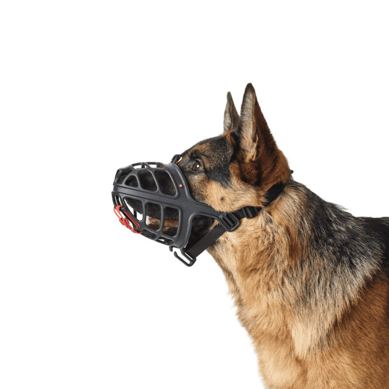 muilkorf-Albury-2.jpg Muilkorf Albury