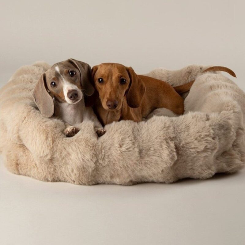 nr-6.jpg Fluffy Hondenmand Beige