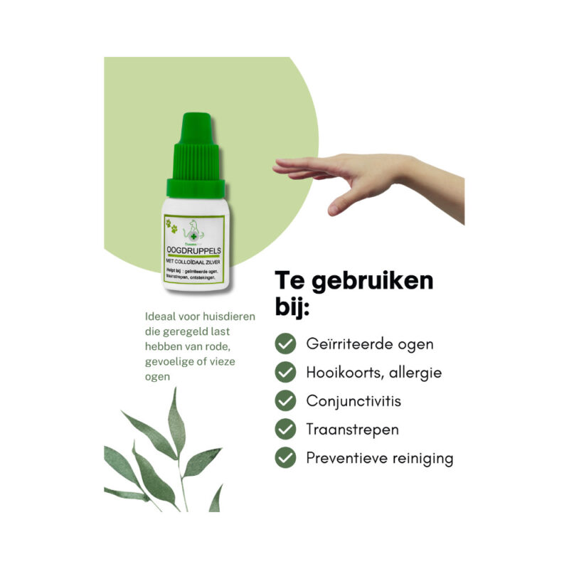 oogdruppels-hond2.jpg Oogdruppels Hond TraumaPet