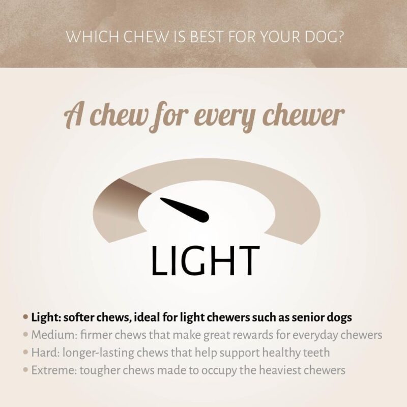 runderlongen-100-gr-4-1679983785.jpg Runderlong Hond