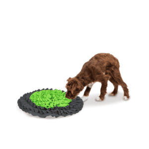 snuffelmat-groen2.jpg Snuffelmat Groen-Antraciet