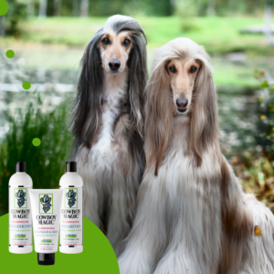 two-Afghan-greyhounds.png Cowboy Magic Conditioner (473 ML)