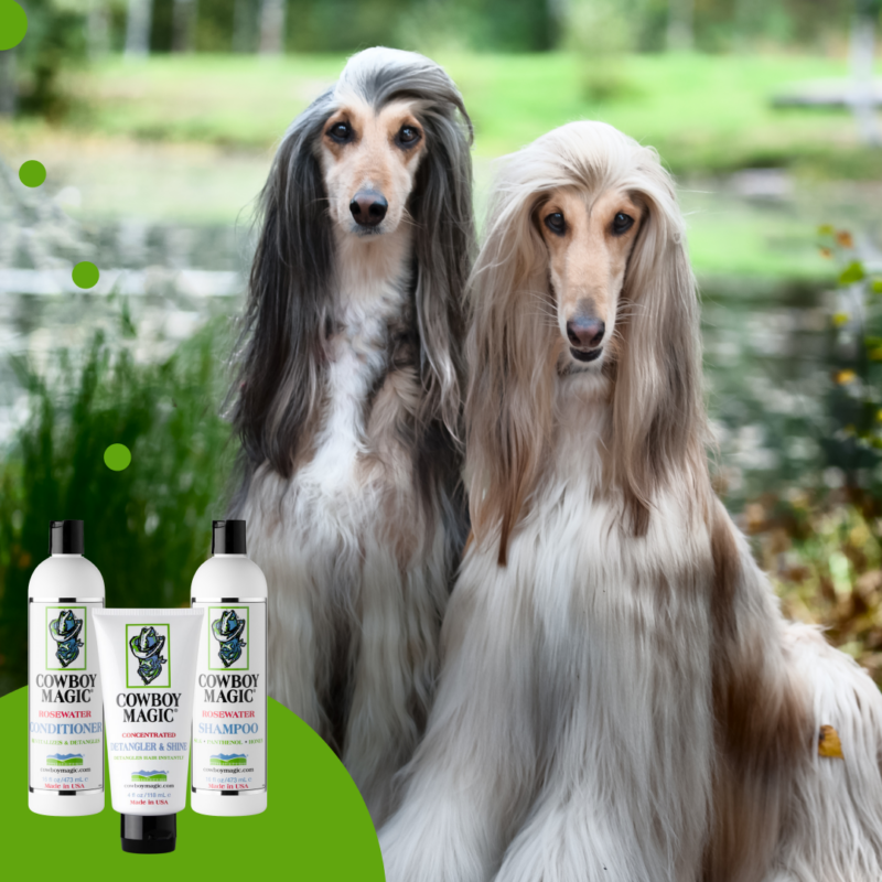 two-Afghan-greyhounds.png Cowboy Magic Conditioner (473 ML)