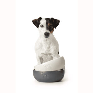 voerbak-Lund-2.jpg Keramische Voerbak Grijs