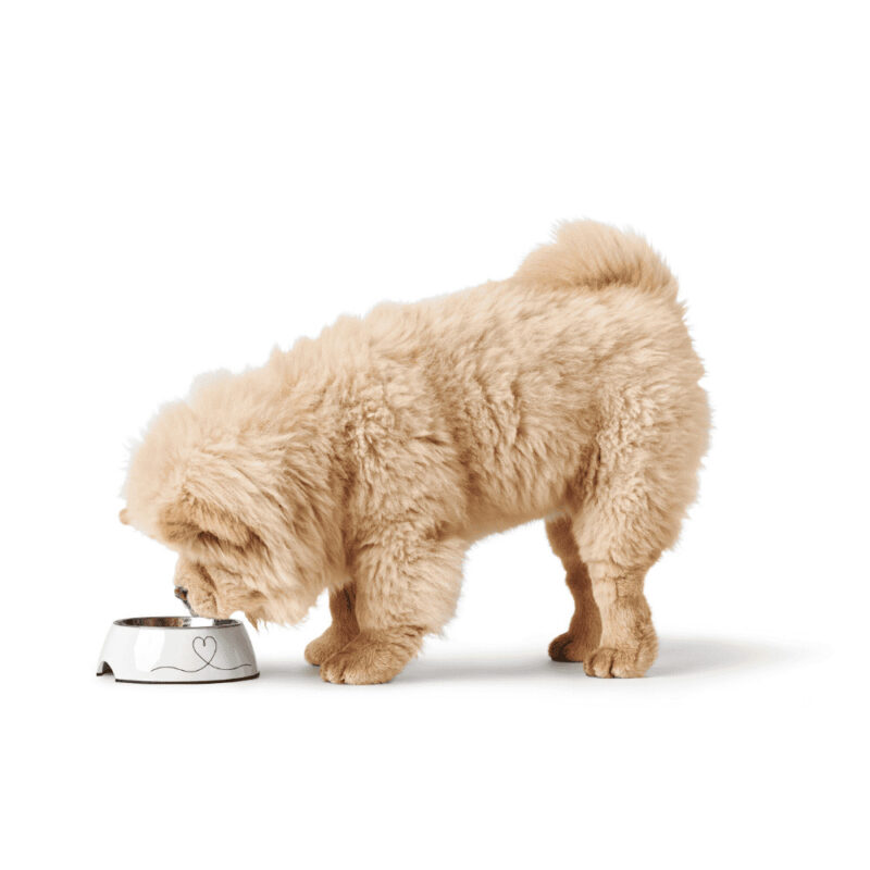 voerbak-valencia-2.jpg Melamine Voerbak Valencia