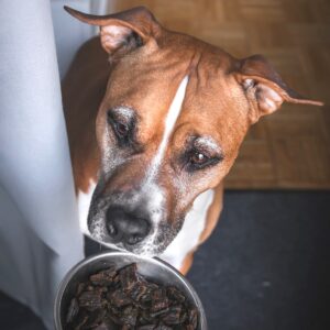 Pala - Gedroogd Vlees - Lam & Haring